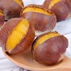 板栗仁即食开口炒栗子现炒熟熟栗子熟炒栗子炒炒熟板油栗厂家批发|ru
